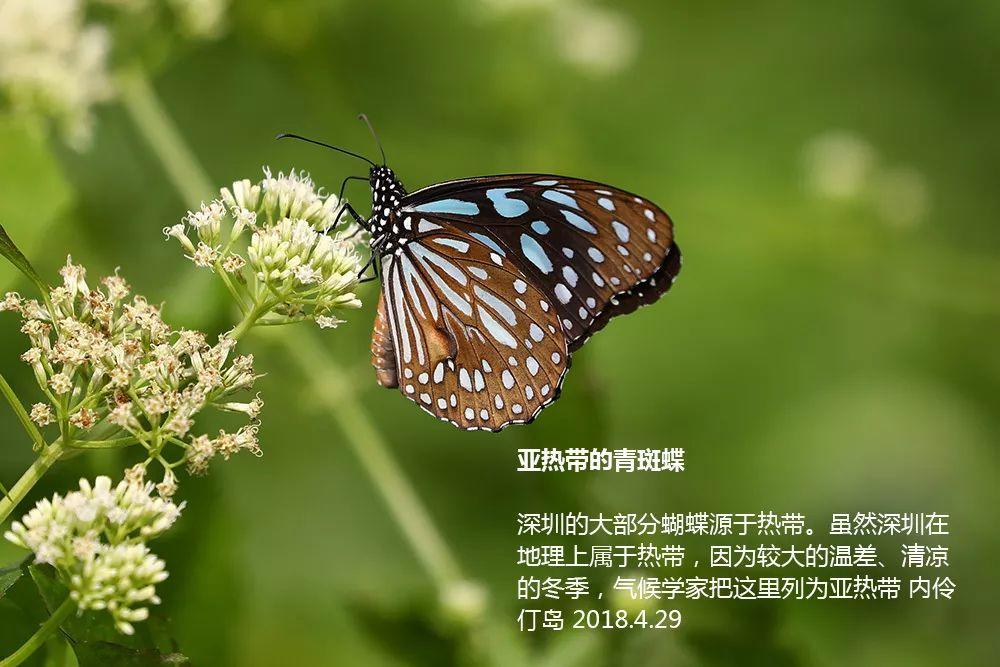 南兆旭：这里是深圳