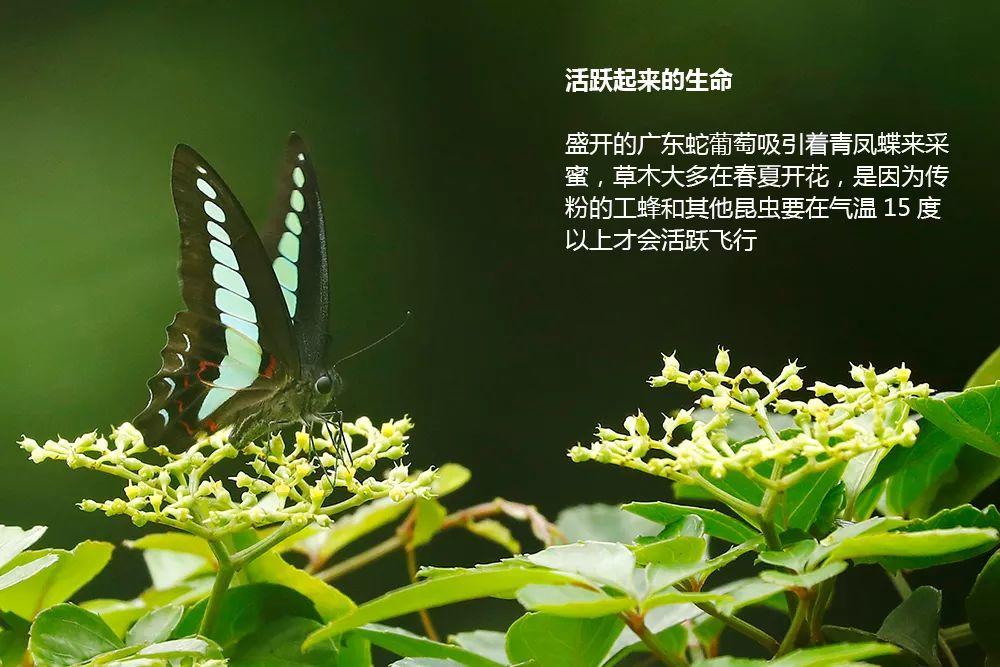 南兆旭：这里是深圳