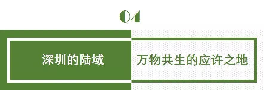 南兆旭：这里是深圳