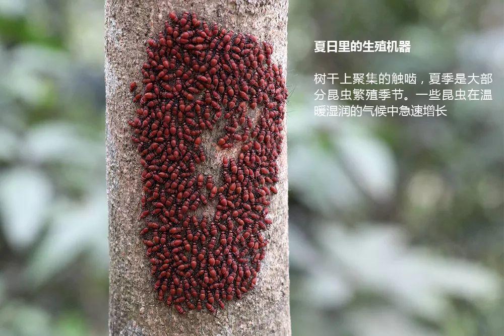 南兆旭：这里是深圳