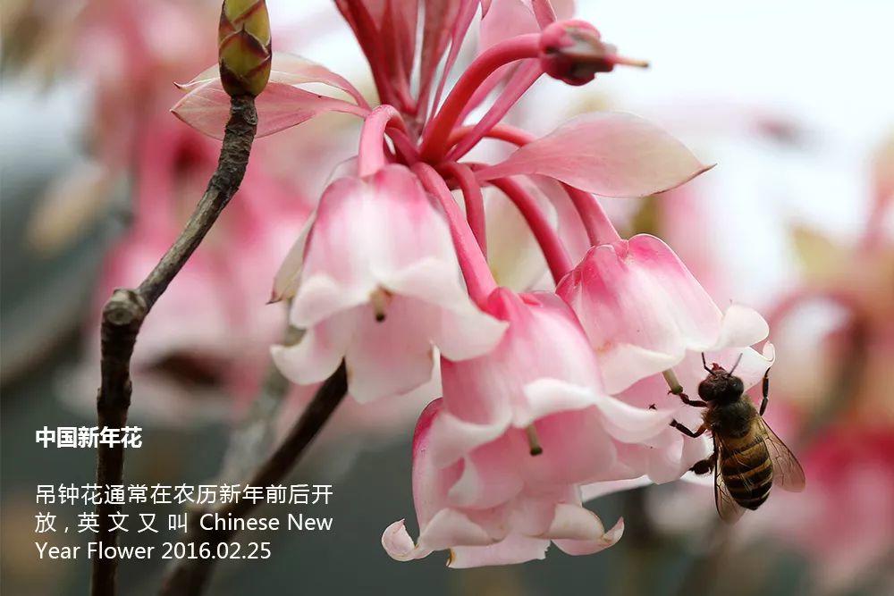 南兆旭：这里是深圳