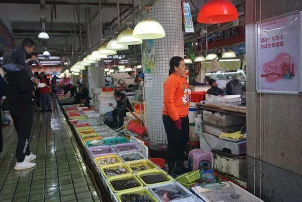 城市细节｜给街道以生活：记蛇口社区无车日及其他