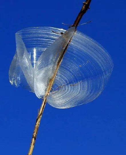 你知道“冰蝴蝶”吗？听说运气好才能看见！