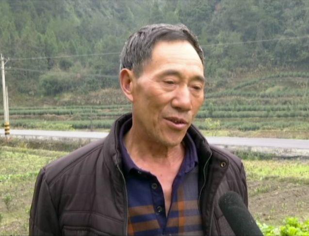 “恩施楷模”江文平：用爱撑起一个家
