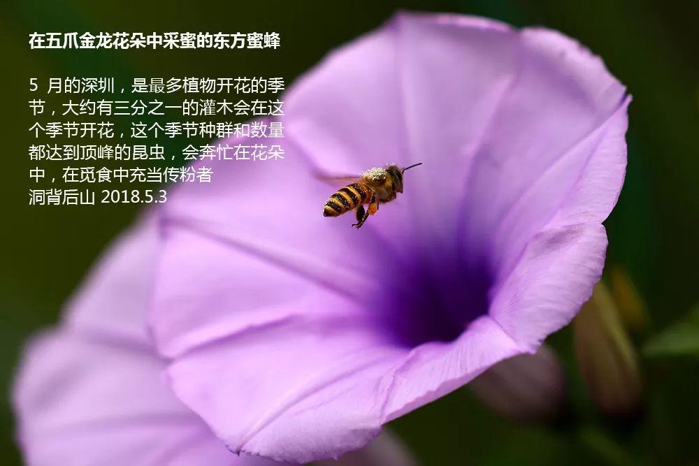 南兆旭：这里是深圳