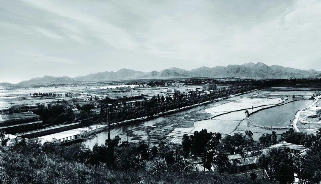 南兆旭：这里是深圳