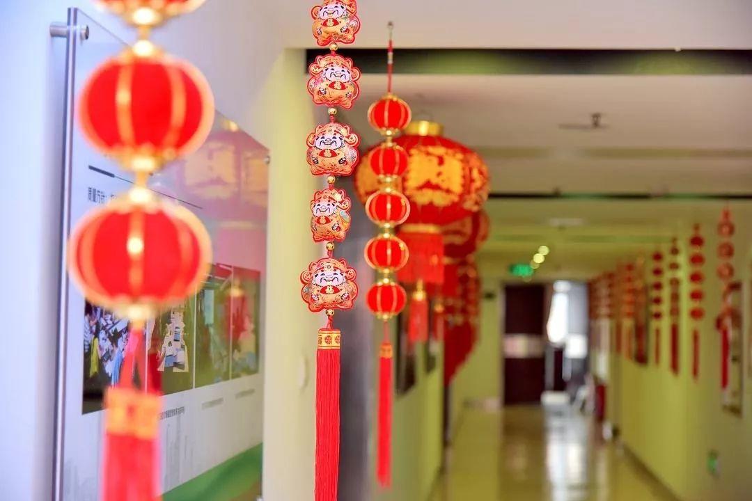 【院动态】金猪辞旧岁，玉鼠迎新春——我院举行2020年新春团拜会