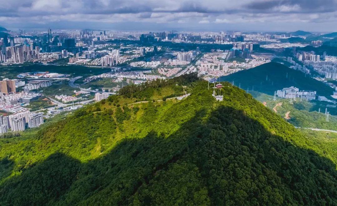 南兆旭：这里是深圳