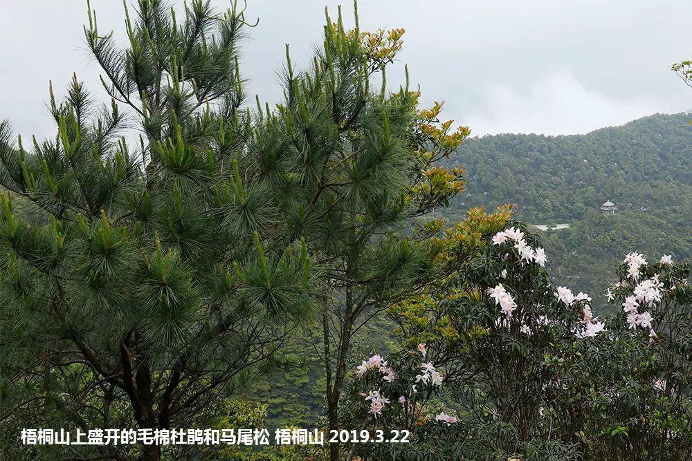 南兆旭：这里是深圳