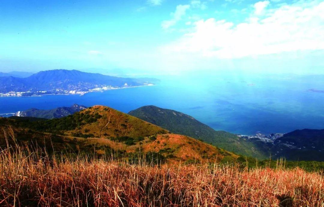 南兆旭：这里是深圳