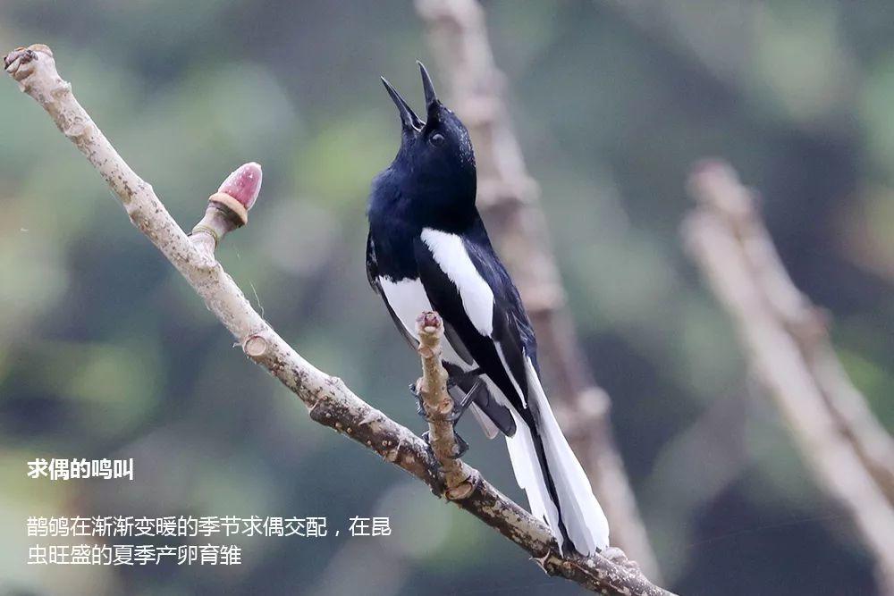 南兆旭：这里是深圳