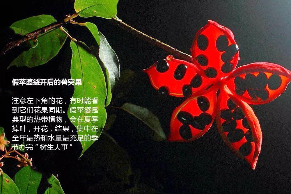 南兆旭：这里是深圳