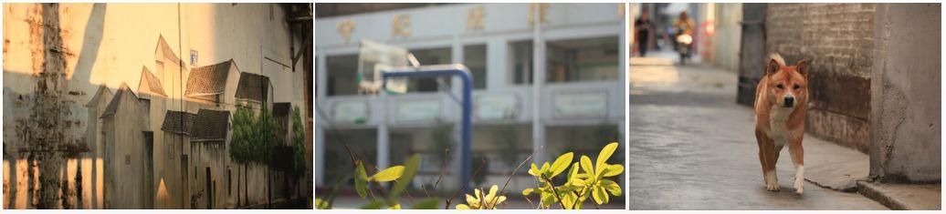 【先锋工作坊】听见先锋，社区公共空间居民意见征询会