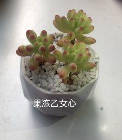 年会剧透 | word天，没点实力怎么参加“鼠”于“童”衡的年！