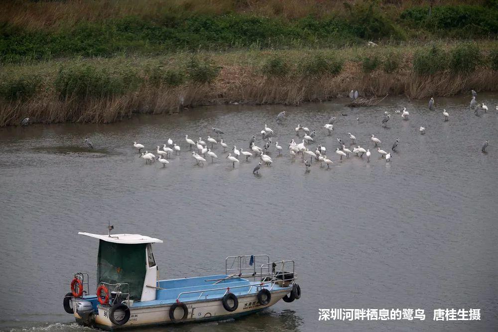 南兆旭：这里是深圳