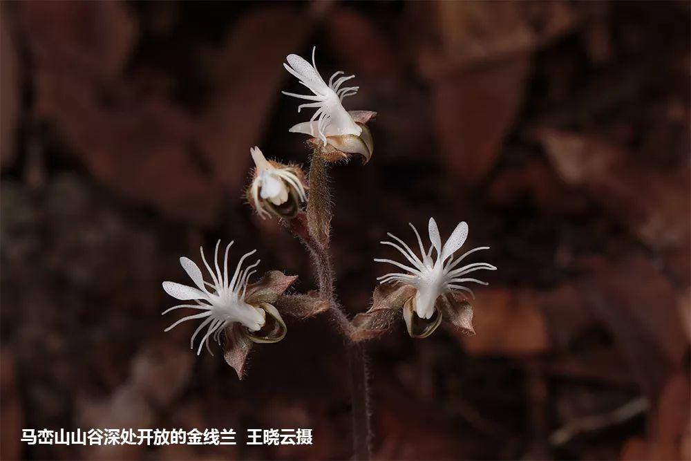 南兆旭：这里是深圳