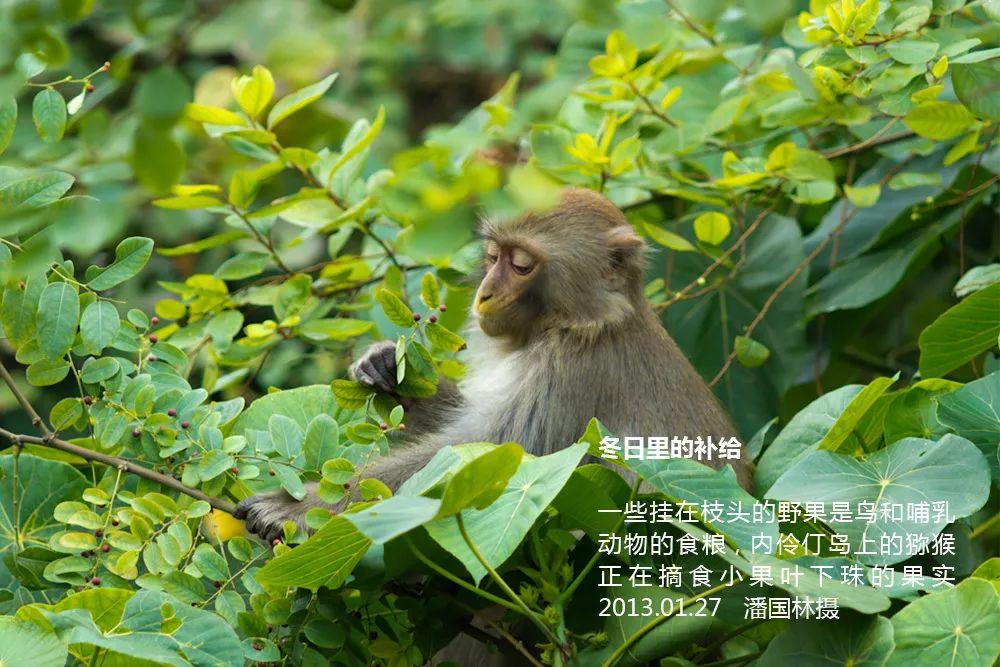 南兆旭：这里是深圳