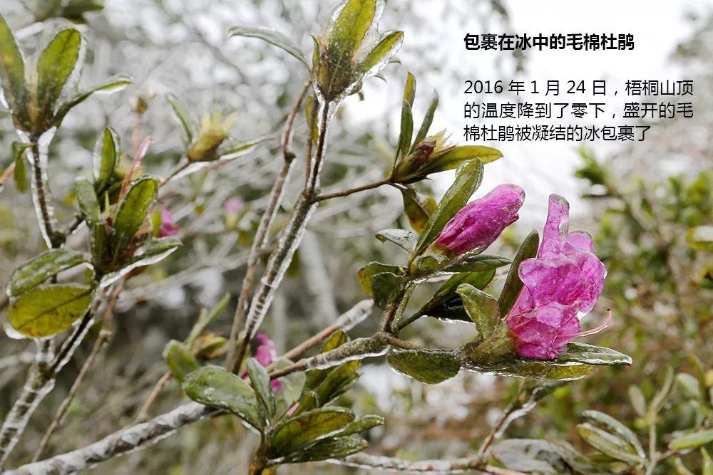 南兆旭：这里是深圳