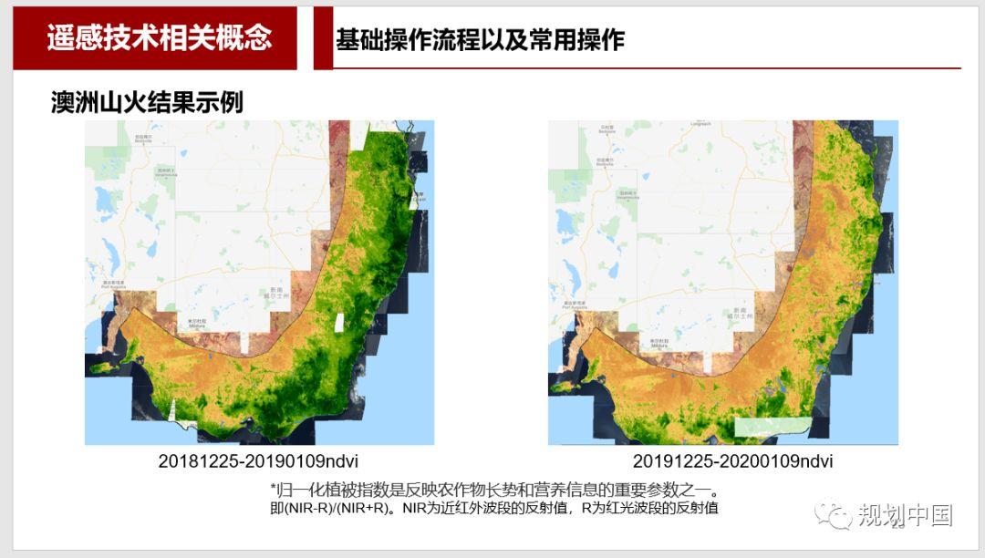 有颜有料有干货•2020非你莫“鼠”