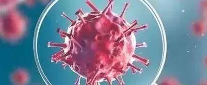 城市规划能从武汉疫情危机中学到什么 城市规划能从武汉疫情危机中学到什么