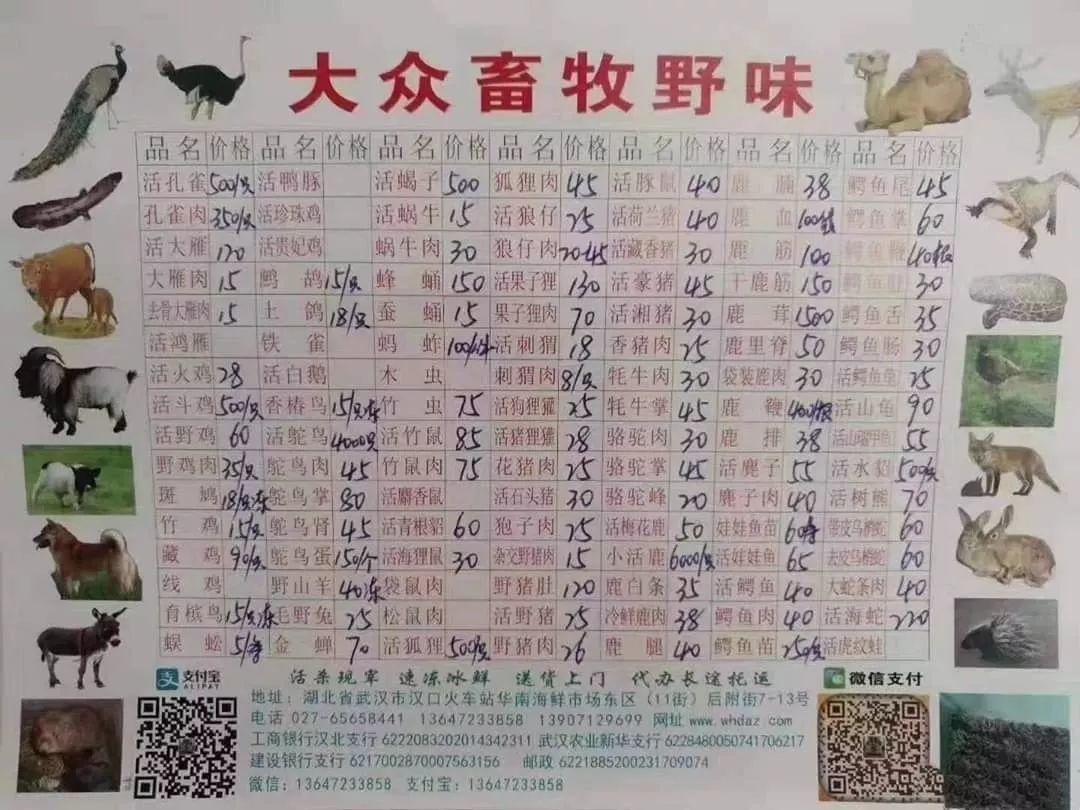 2020警钟拉响！肺炎、大火、流感、蝗灾、暴雪……灾难轮番上演