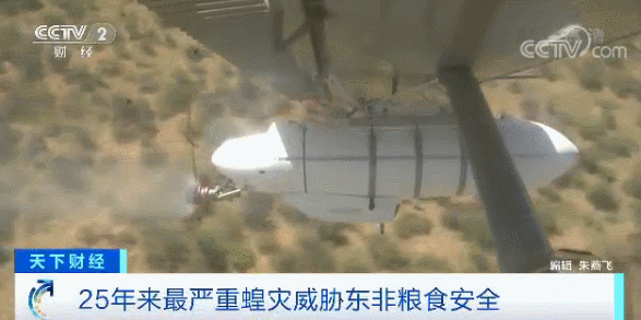 2020警钟拉响！肺炎、大火、流感、蝗灾、暴雪……灾难轮番上演