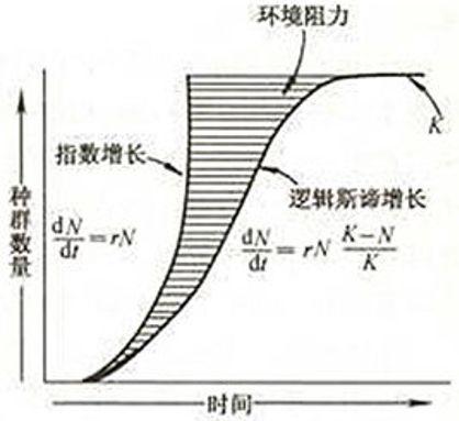 规模和密度的思考，以及对接触性负面效应的干预