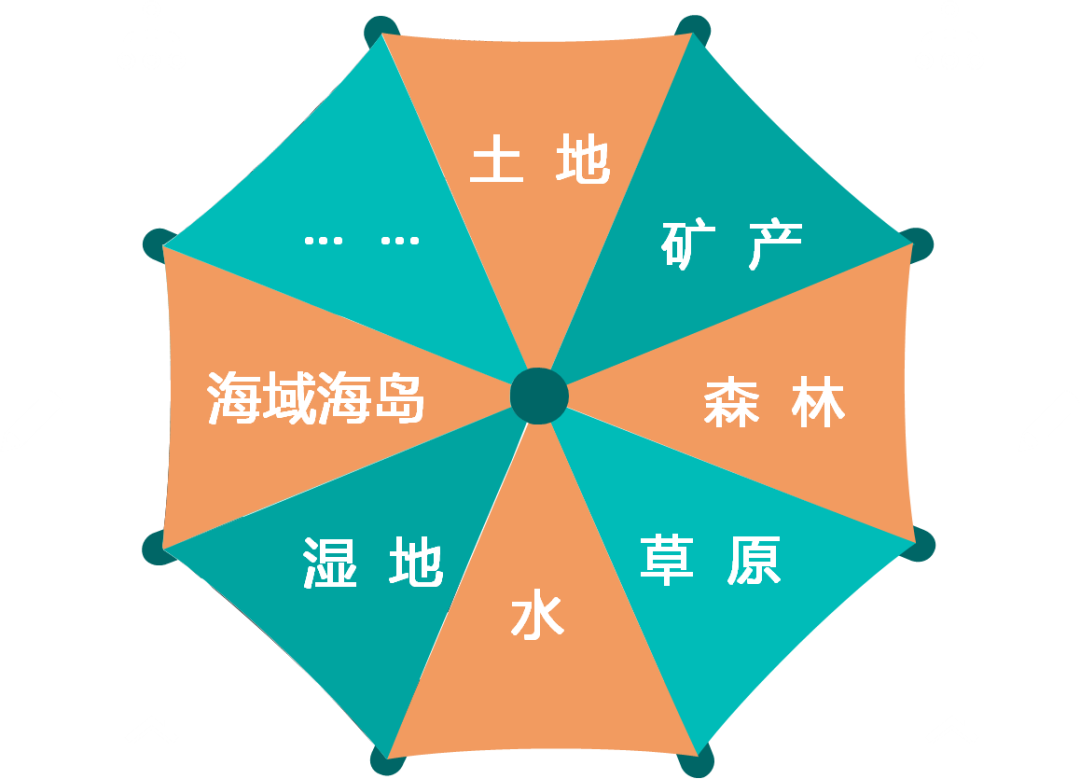一图看懂《自然资源调查监测体系构建总体方案》要点 一图看懂《自然资源调查监测体系构建总体方案》要点