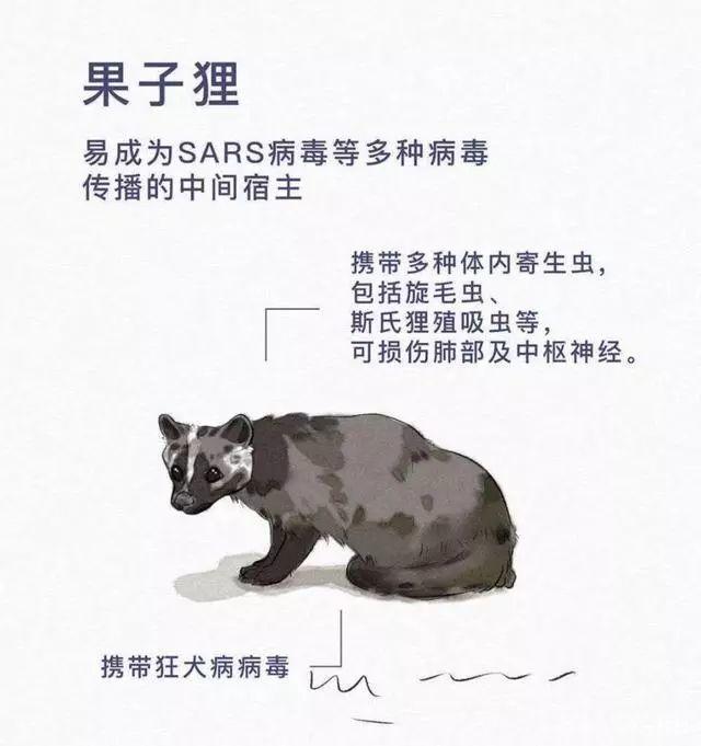 2020警钟拉响！肺炎、大火、流感、蝗灾、暴雪……灾难轮番上演