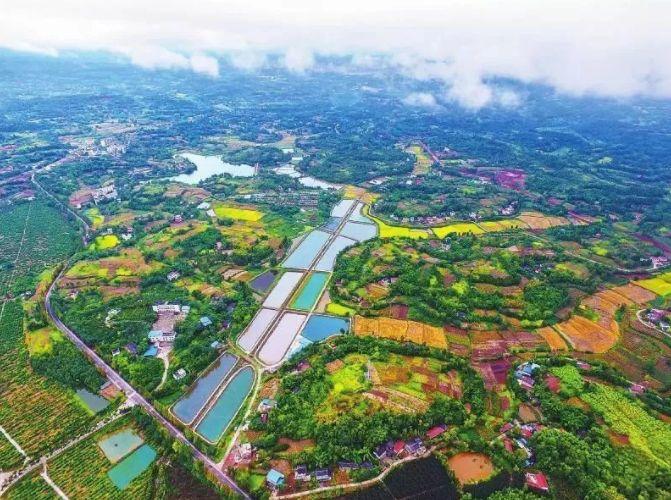 张红宇:把农村改革引向深入