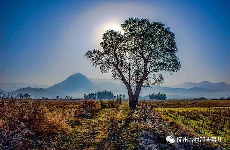 黄通邓家村：脱山漉酒共一醉