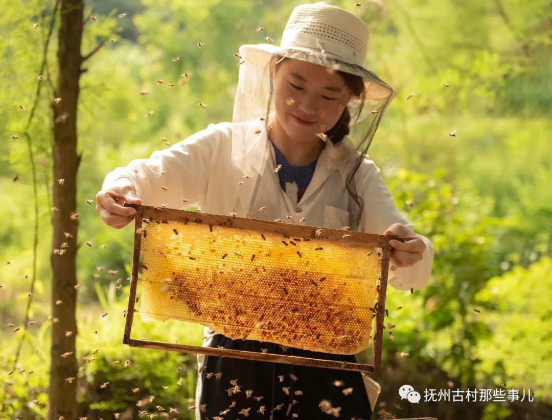 黄通邓家村：脱山漉酒共一醉