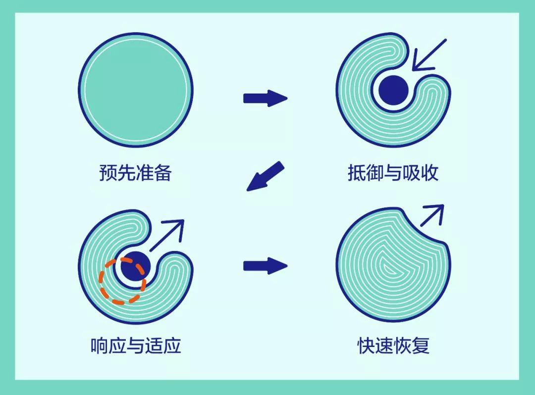「新·观点」建设韧性城市，是城市防疫的最佳方案