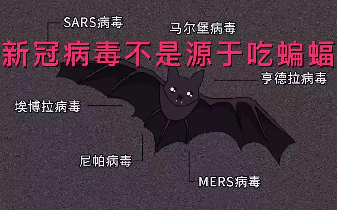 2020警钟拉响！肺炎、大火、流感、蝗灾、暴雪……灾难轮番上演