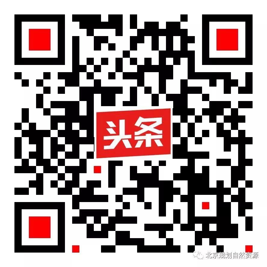 城市更新系列十五 | 有了这样的参与式设计，人人都是规划师