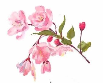 清华园的春日精灵们醒来啦~ 清华园的春日精灵们醒来啦~