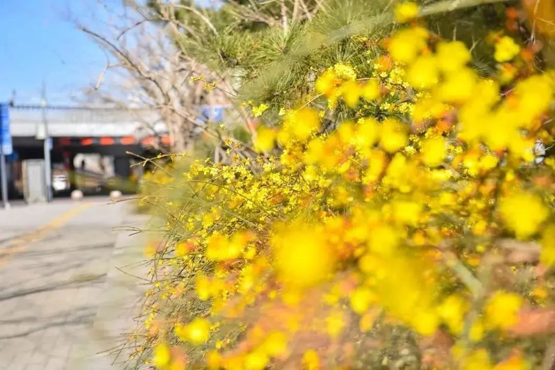 春分,北京的春天刚刚开始 春分,北京的春天刚刚开始