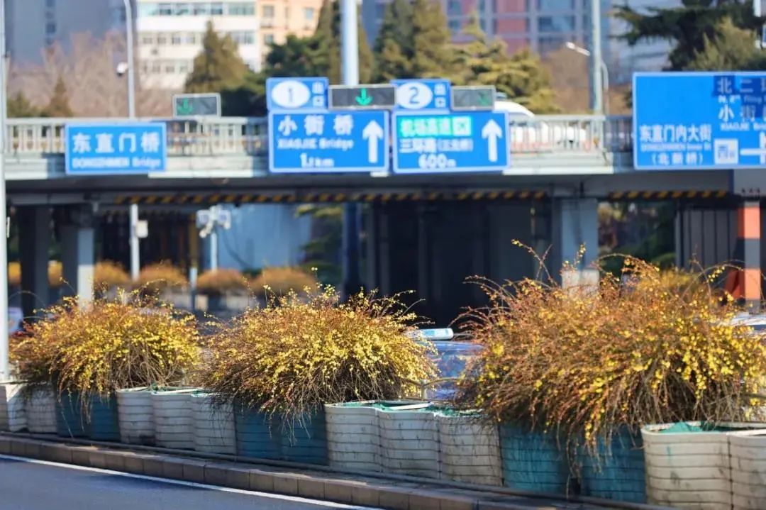 春分,北京的春天刚刚开始 春分,北京的春天刚刚开始