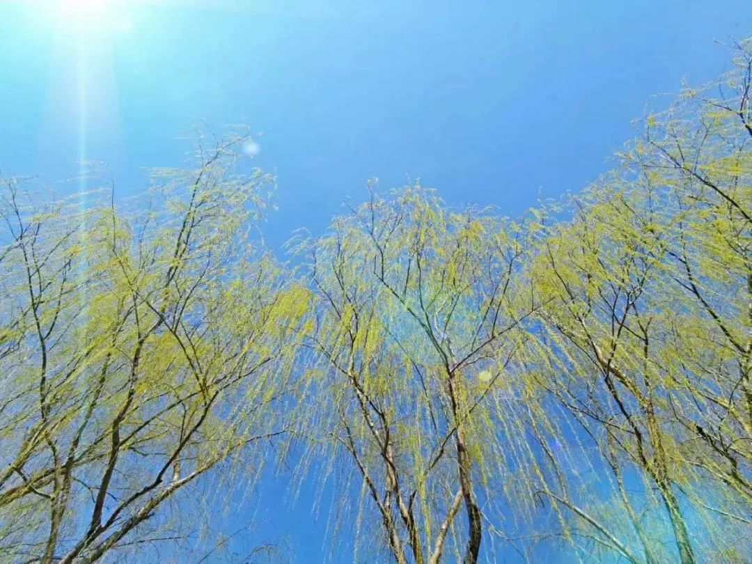 春分,北京的春天刚刚开始 春分,北京的春天刚刚开始
