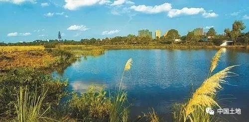国土空间生态修复智慧平台的实现路径 国土空间生态修复智慧平台的实现路径