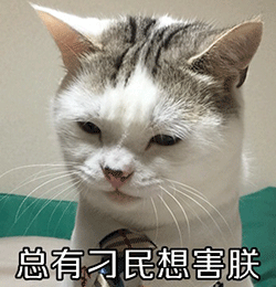 城市更新系列二 | 街区更新,有“你”大不同 城市更新系列二 | 街区更新,有“你”大不同