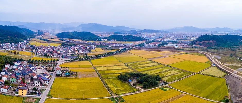 研究︱从申报到实施纵向剖析全域土地综合整治工作