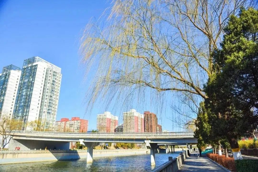 春分,北京的春天刚刚开始 春分,北京的春天刚刚开始