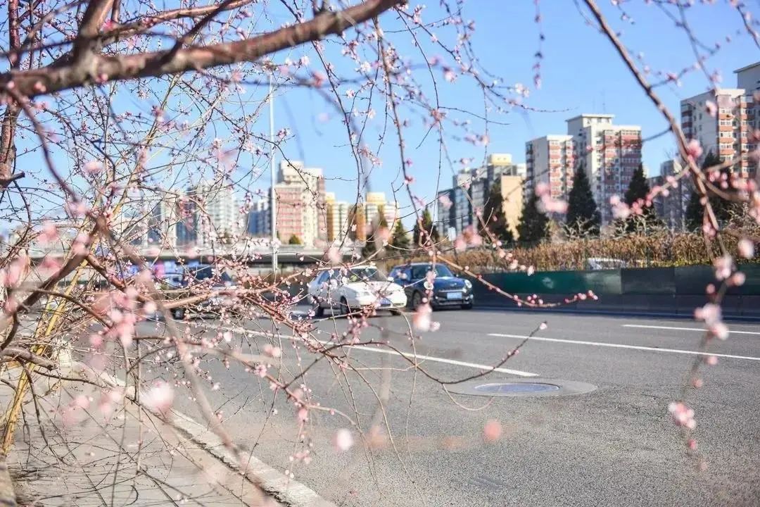 春分,北京的春天刚刚开始 春分,北京的春天刚刚开始