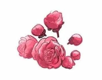 清华园的春日精灵们醒来啦~ 清华园的春日精灵们醒来啦~