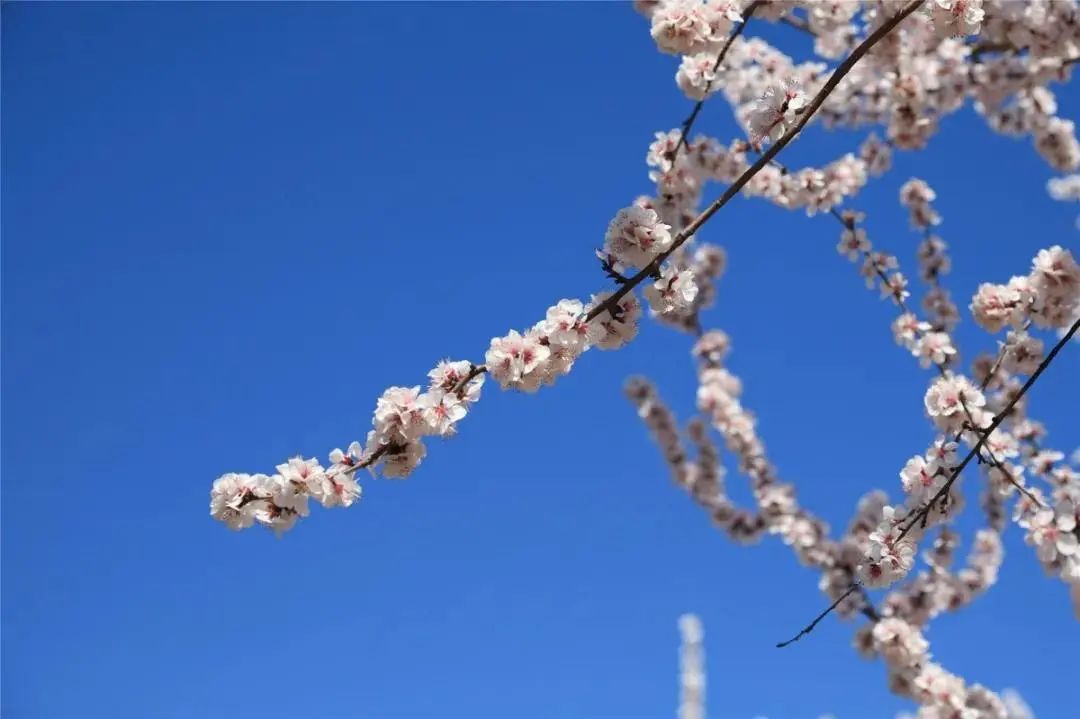 春分,北京的春天刚刚开始 春分,北京的春天刚刚开始