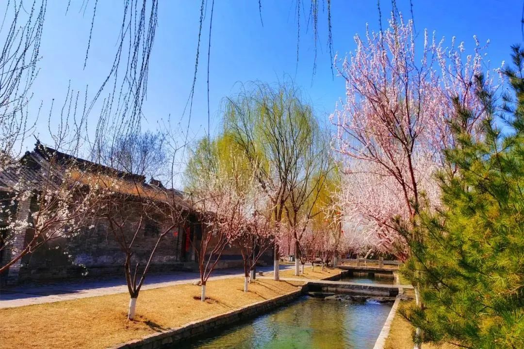 春分,北京的春天刚刚开始 春分,北京的春天刚刚开始