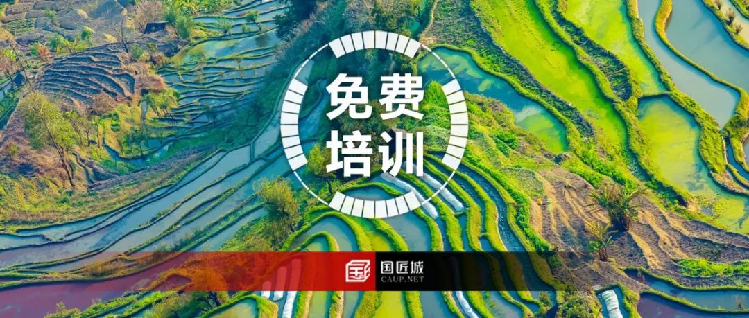 同济大学——国土空间规划专题培训西南专场免费直播，报名中
