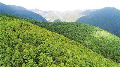改革开放40年 | 这里生态环境修复的脚步从未停止 改革开放40年 | 这里生态环境修复的脚步从未停止