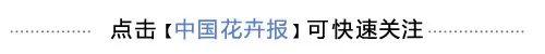 城市双修，不应止于“药到病除”